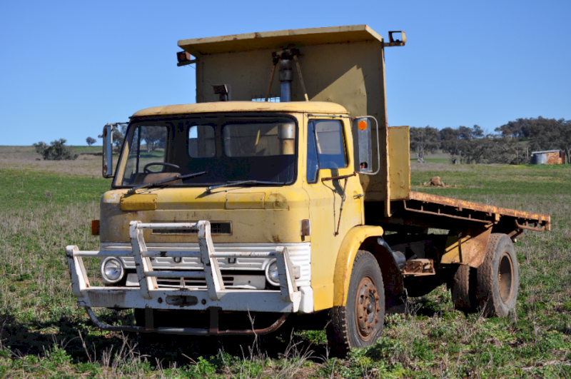 Ford Tipper, D series