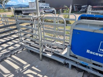 Te Pari Racewell HD3 Sheep Handler