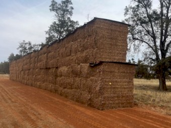 200mt Vetch Hay 600kg 8x4x3 Bales (New Season 24/25)