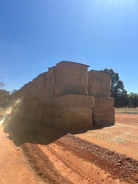 200mt Wheaten Lucerne Hay 650kg 8x4x3 Bales