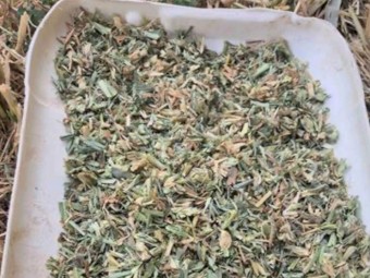 200mt Wheaten Lucerne Hay 650kg 8x4x3 Bales