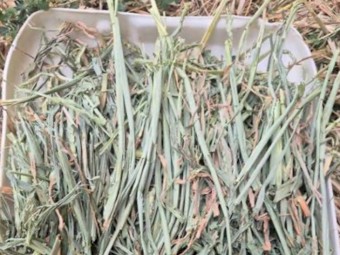 200mt Wheaten Lucerne Hay 650kg 8x4x3 Bales