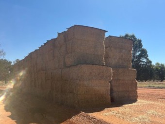 200mt Wheaten Lucerne Hay 650kg 8x4x3 Bales