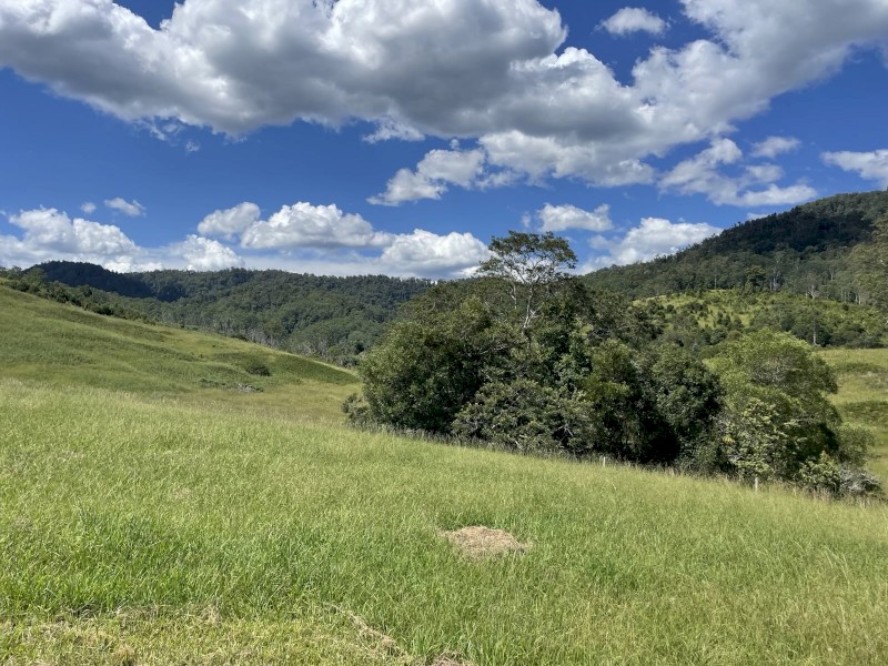 Cattle Agistment for approx 50 head