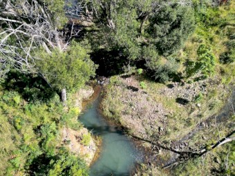 Cattle Agistment for approx 50 head