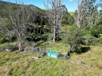 Cattle Agistment for approx 50 head