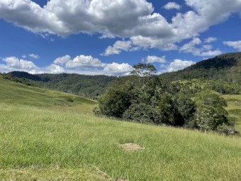 Cattle Agistment for approx 50 head