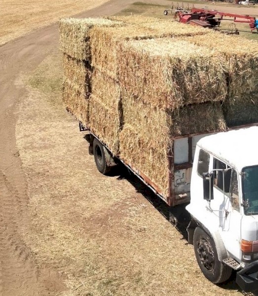 110mt Oaten Hay 550kg 8x4x3 Bales