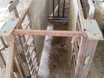 Custom made scale chute with Rudd weigh scales 