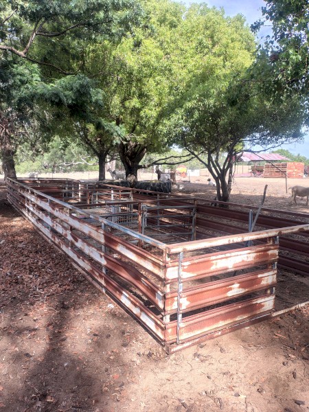 40 ft sheep crate single deck 