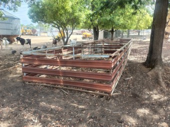 40 ft sheep crate single deck 