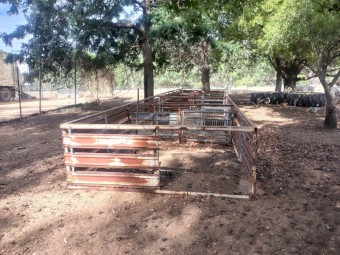 40 ft sheep crate single deck 