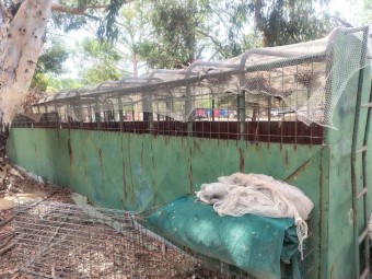 40 ft cattle/ horse crate 