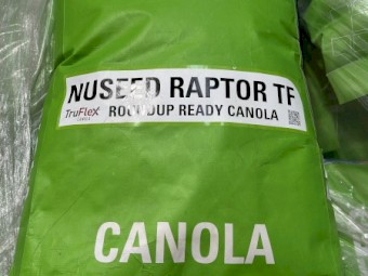 Nuseed Raptor TruFlex canola seed