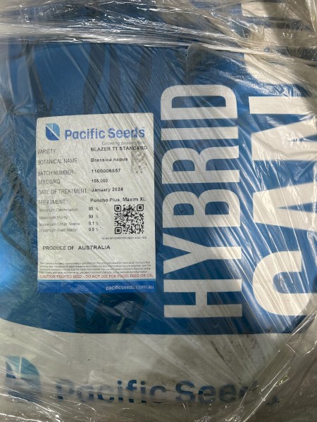 Blazer TT canola seed