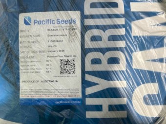 Blazer TT canola seed