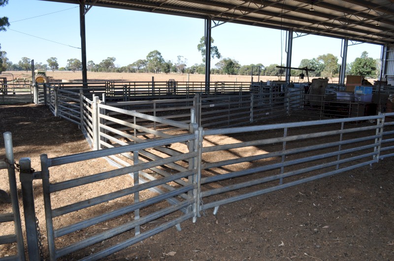 Norton Semi-Permanent Sheep Yards