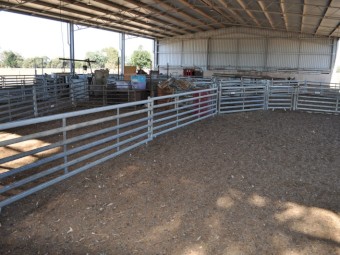 Norton Semi-Permanent Sheep Yards