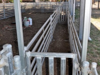 Norton Semi-Permanent Sheep Yards