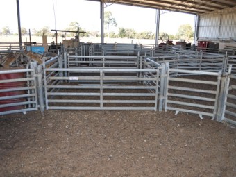 Norton Semi-Permanent Sheep Yards