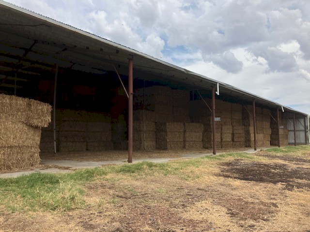 200mt Vetch/Oaten Hay 627kg 8x4x3 Bales