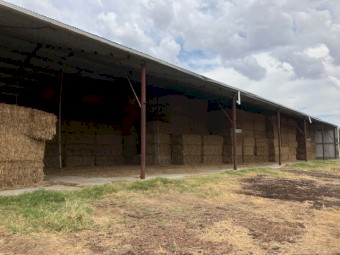 200mt Vetch/Oaten Hay 627kg 8x4x3 Bales