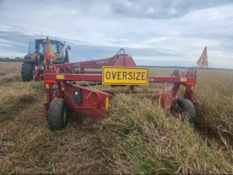 200 x Rhodes Pasture Hay 8x4x3 Bales