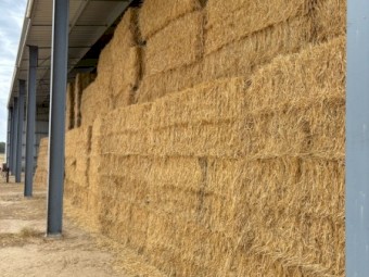 120mt Awnless Wheaten and Rye Grass Hay