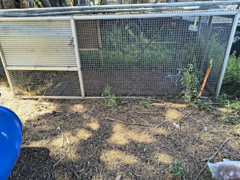 Mobile Chicken Coop/Run