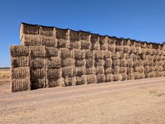 100mt Pasture Hay 8x4x3 Bales
