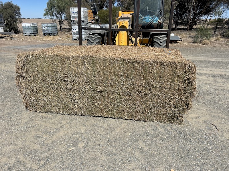 PRICE REDUCED Vetch Hay 560-580kg 8x4x3 Bales