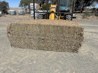 PRICE REDUCED Vetch Hay 560-580kg 8x4x3 Bales
