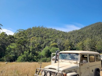 WANTED Toyota Landcruisers