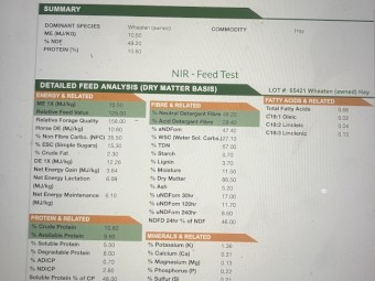 300mt Wheaten Hay 640kg 8x4x3 Bales