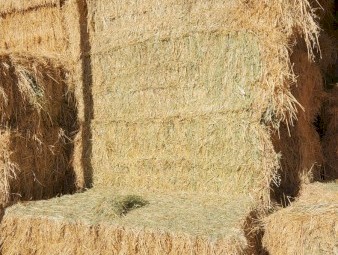 240mt Oaten Hay 600kg+ 8x4x3 Bales