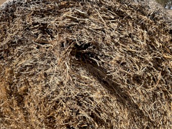 75mt Vetch Hay 5x4 Rolls