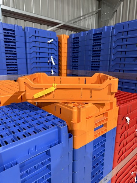 LUGS- FRUIT PICKING TRAYS