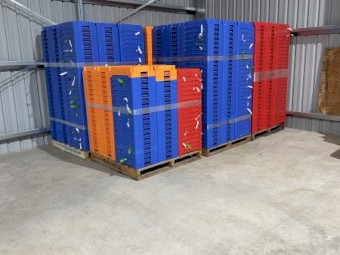 LUGS- FRUIT PICKING TRAYS