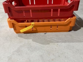 LUGS- FRUIT PICKING TRAYS