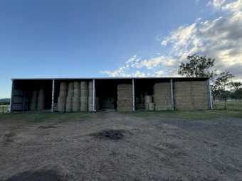 Shedded Rhodes grass