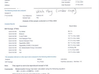 2024 Vetch Hay 