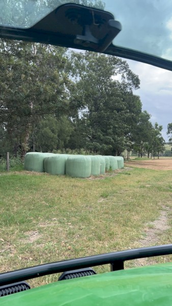 34 Oaten Silage Round Bales