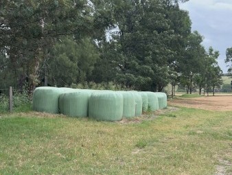 34 Oaten Silage Round Bales