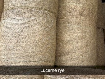 50 x Ryegrass/Lucerne Mix Hay 4ft Rolls