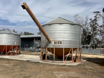Ahrens Field Bin with Auger