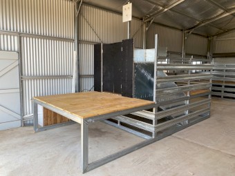 Shearing stand