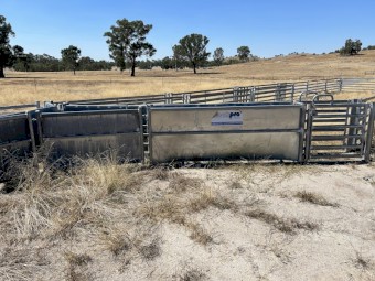 800 Semi Permanent Sheep yards