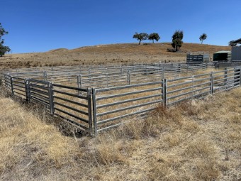 800 Semi Permanent Sheep yards