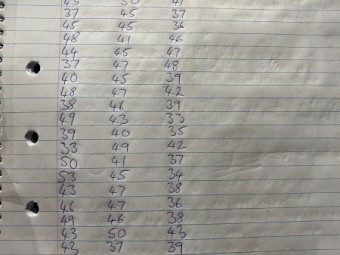 2024 drop Australian white ewe lambs 