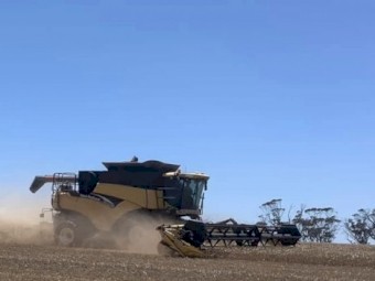 New holland CR 960 +honeybee 94c